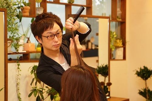 パリ式ドライカット技術